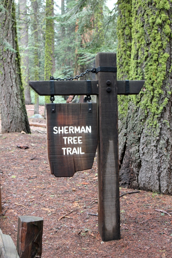 Sherman Tree Trail